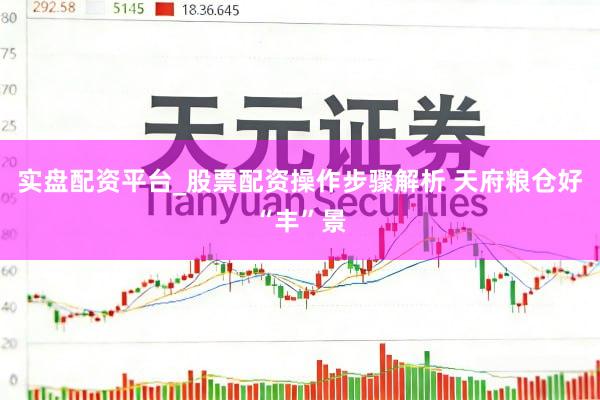 实盘配资平台_股票配资操作步骤解析 天府粮仓好“丰”景