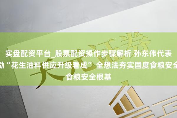 实盘配资平台_股票配资操作步骤解析 孙东伟代表：鼓励“花生油料供应升级看成” 全想法夯实国度食粮安全根基